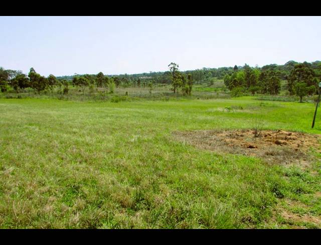 LAND FOR SALE IN WHITE RIVER ESTATES